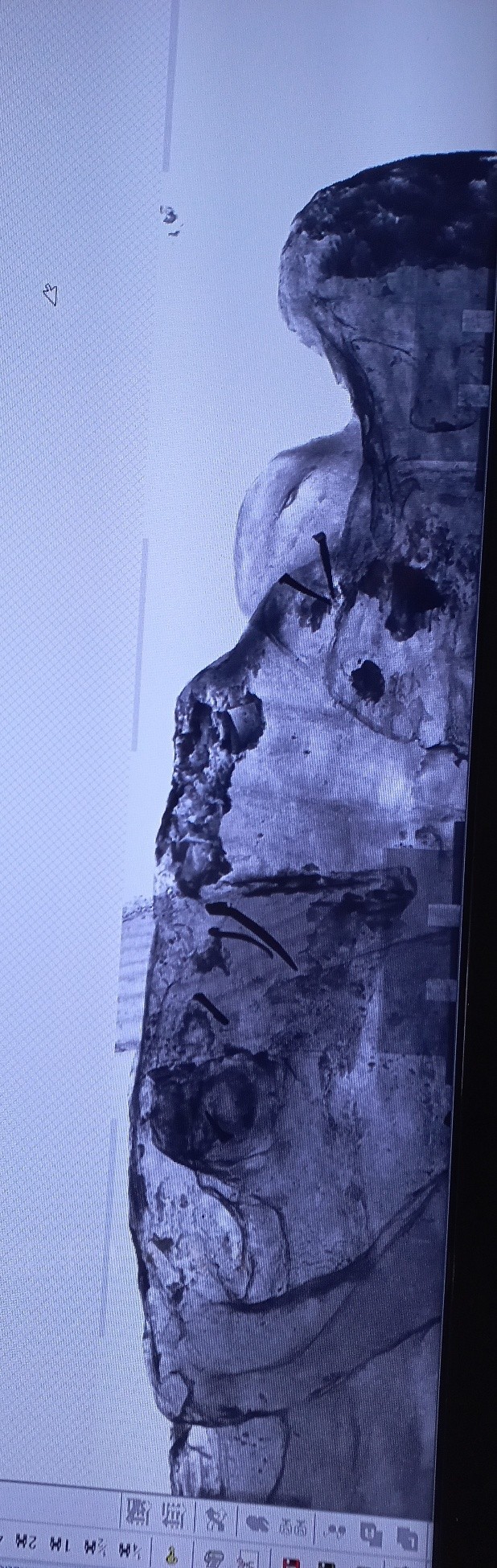 Escultura São Jerônimo sendo preparada para tomografia no HU/USP