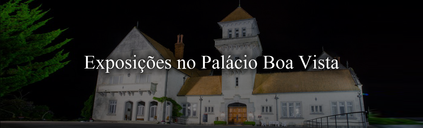 Imagem ilustrativa de exposições no Palácio Boa Vista