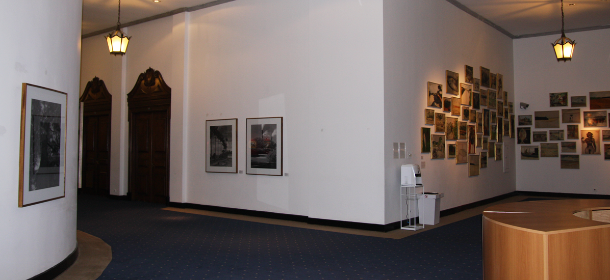 Foto da exposição - Árvores de São Paulo – Retratos da Natureza